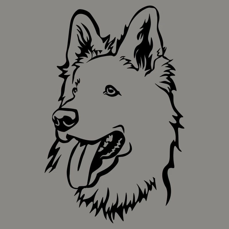 Swiss Shepherd Head