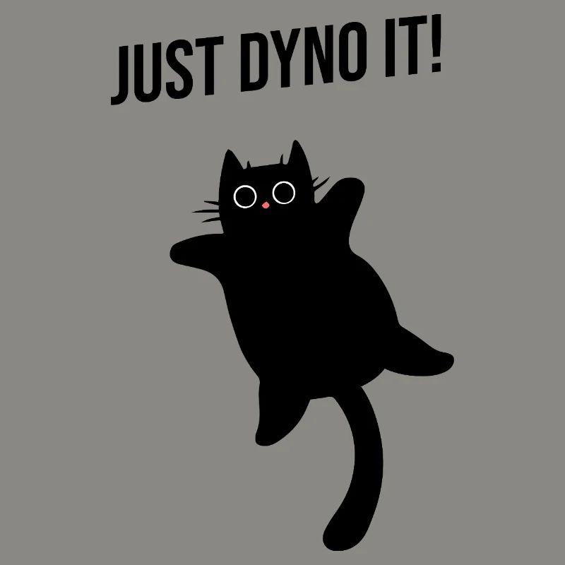 Cat climbs dynamically climbing route Dyno boulder