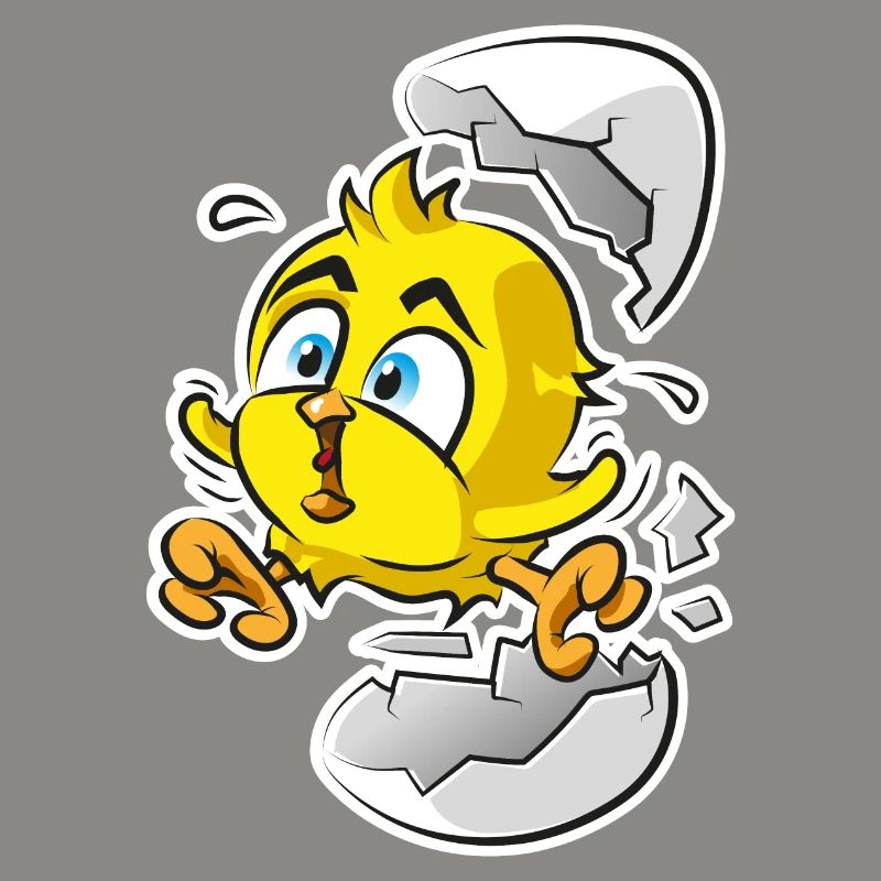 Chicks from the egg