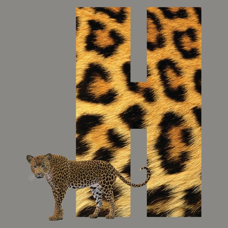 leopard h