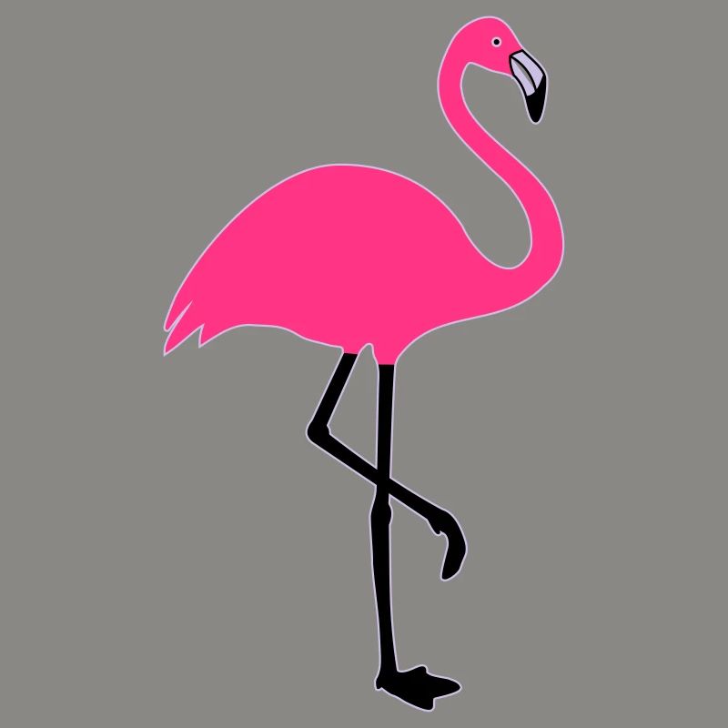 Flamingo summer sun beach