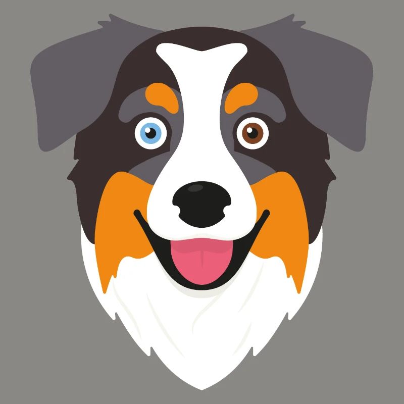 Fröhlicher Australian Shepherd Portrait.