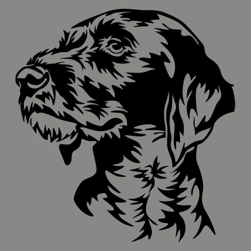 German Wirehaired Pointer head