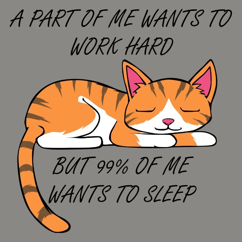 Work or sleep cute cat excuse