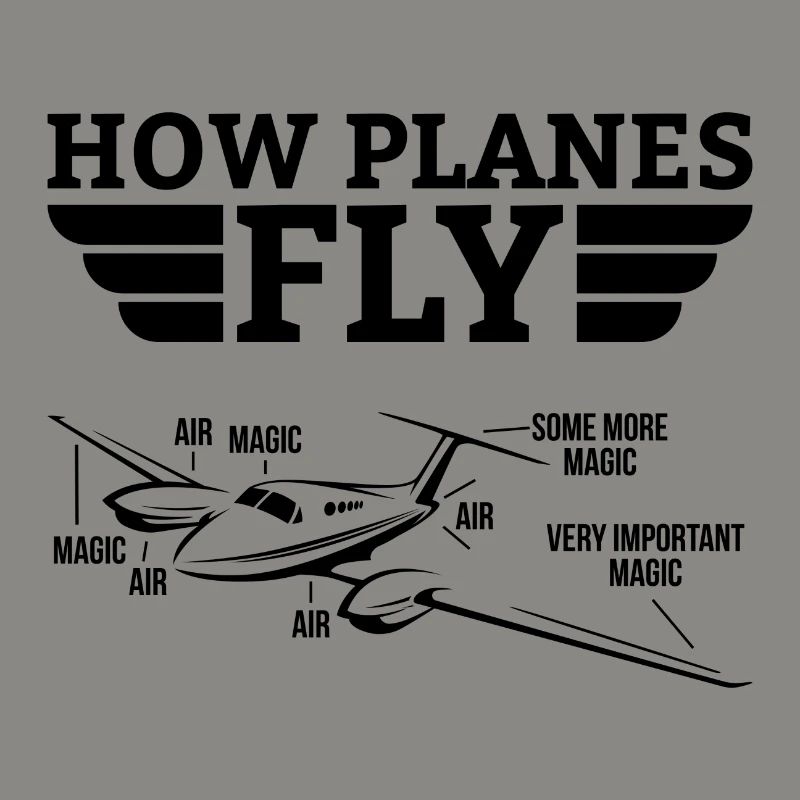 How planes fly gift pilot plane copilot