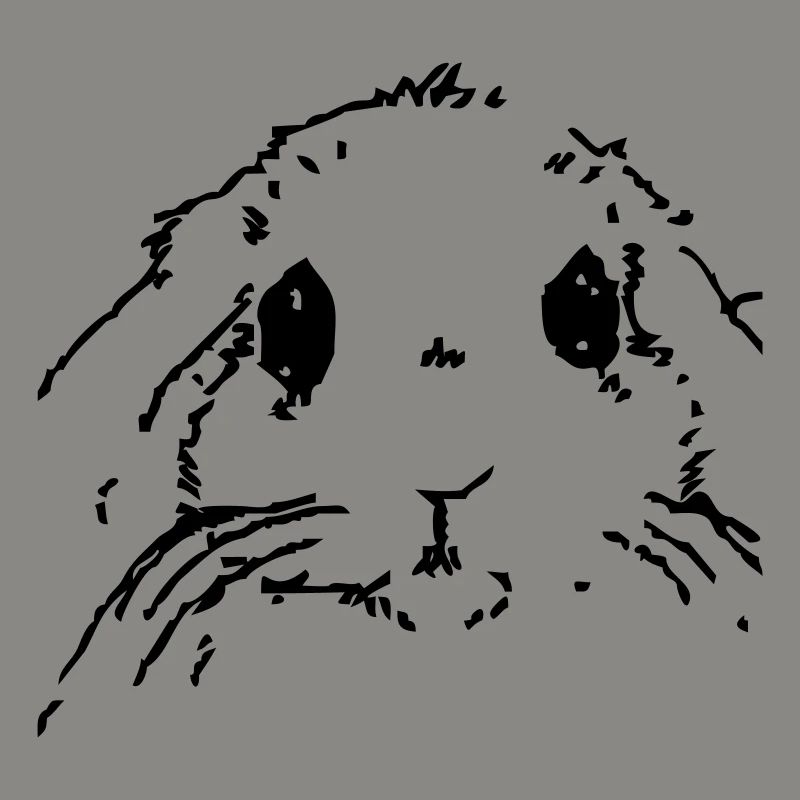 Hase