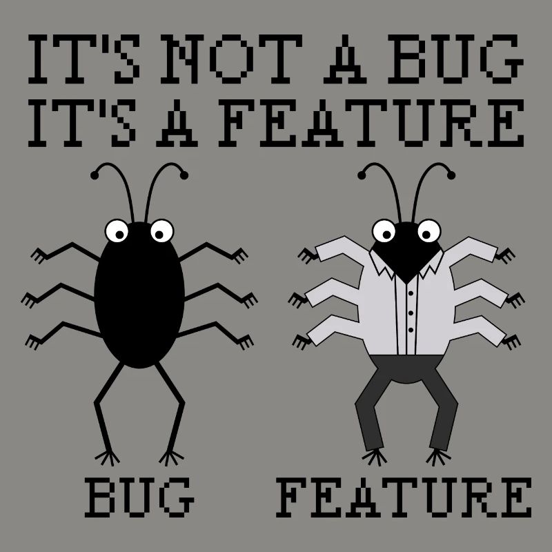 It’s not a bug programming informatique cadeau