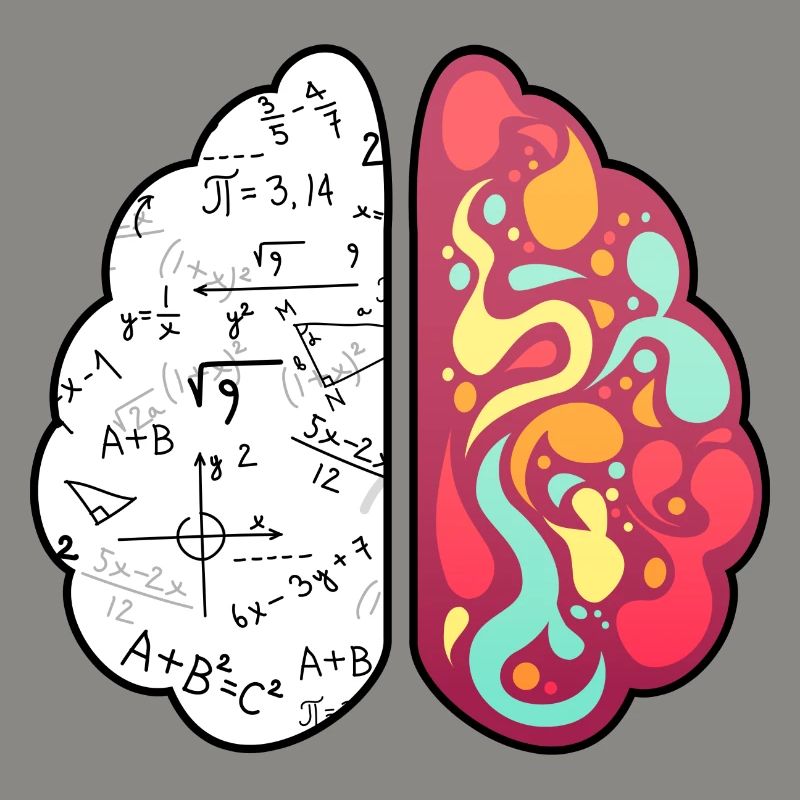 Math Lesson Mathematics Math Genius Math Brain