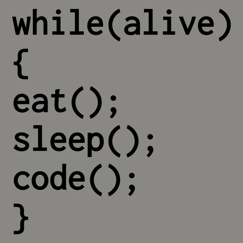 Entwickler / Informatiker / Programmierer /