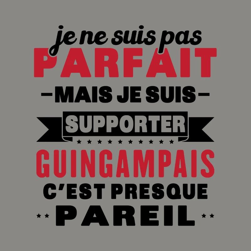 Nicht perfekt, aber ich bin ein Guingamp-Fan