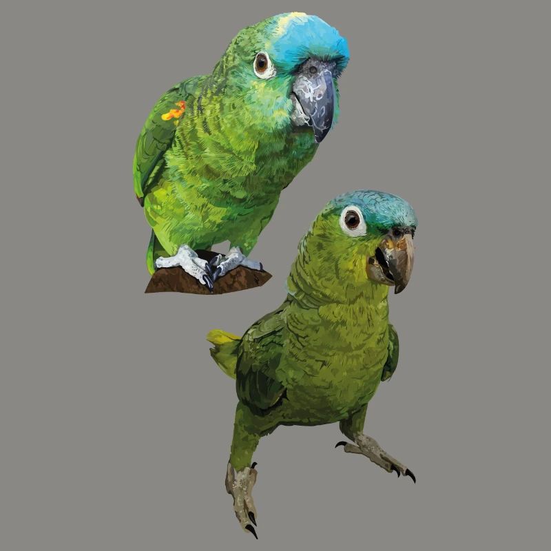 Amazonas-Papageien