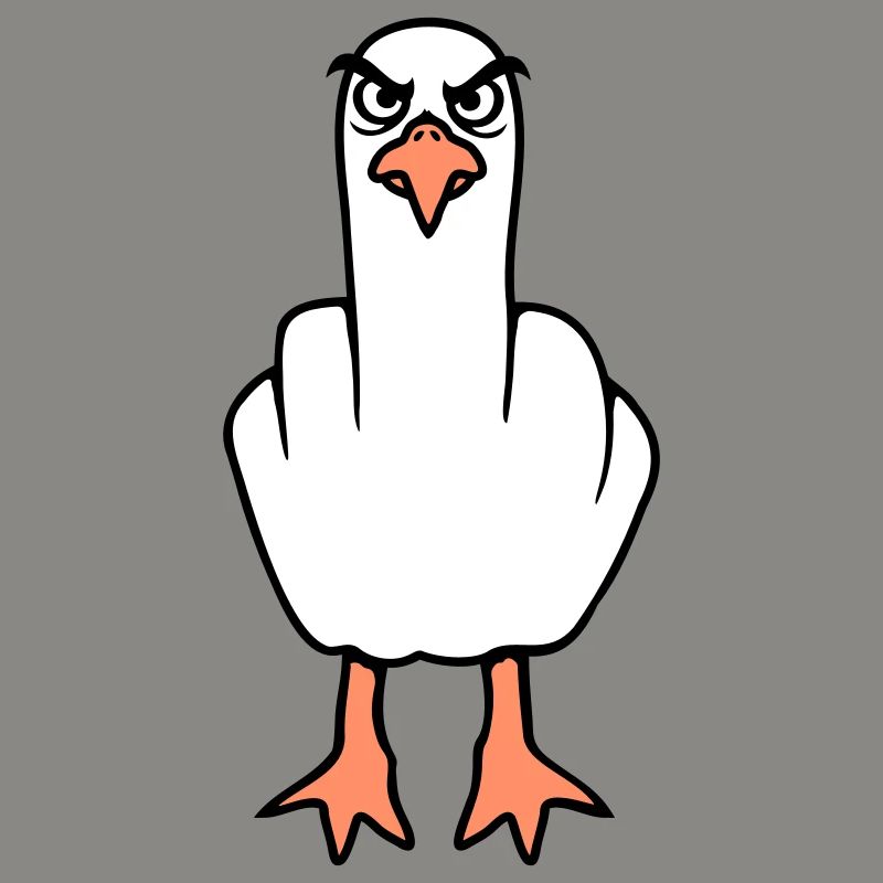 Möwe Mittelfinger Beleidigung Stinkefinger frech
