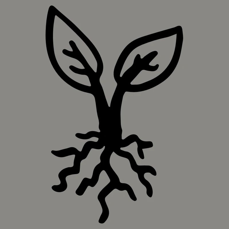 Racine / plante - racine - plantule - pousse