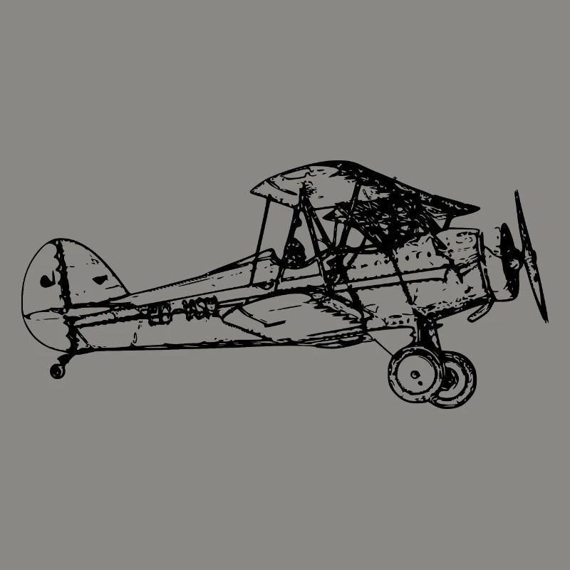 Flugzeug Doppeldecker