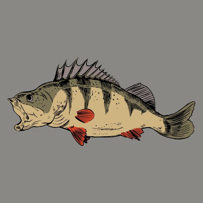 Ritters de pêche à la perche Pêcheurs prédateurs de perches