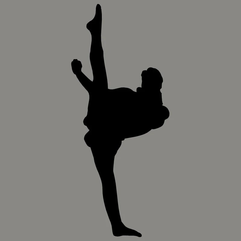 Karate oder Taekwondo High Kick