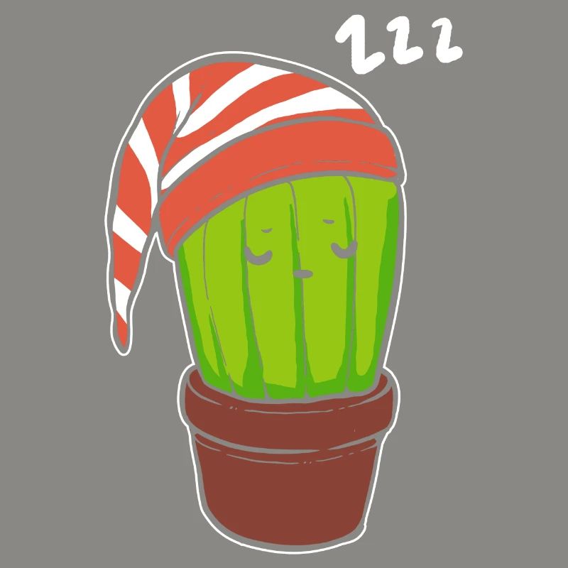Sleeping Cactus Hyperomnia Gift
