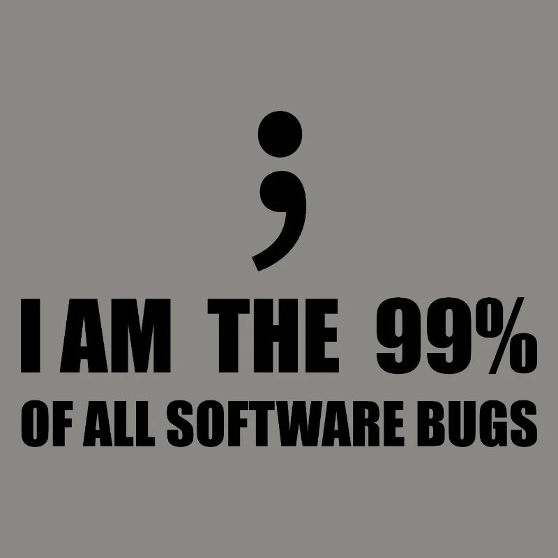 Programmeur Computer Scientist
