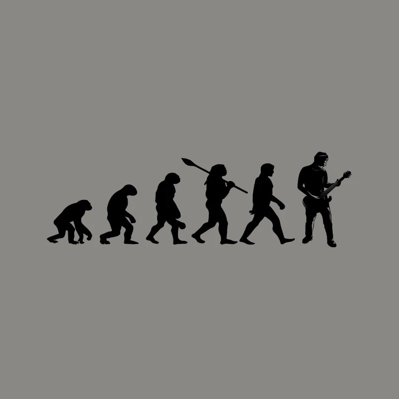 evolution guitariste