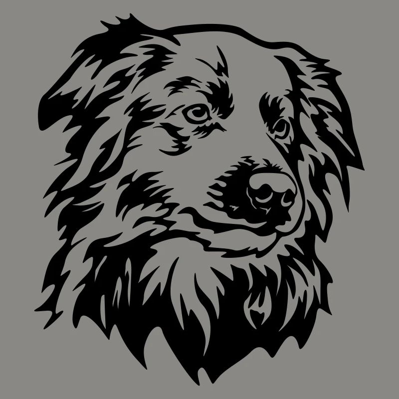 Border Collie Head