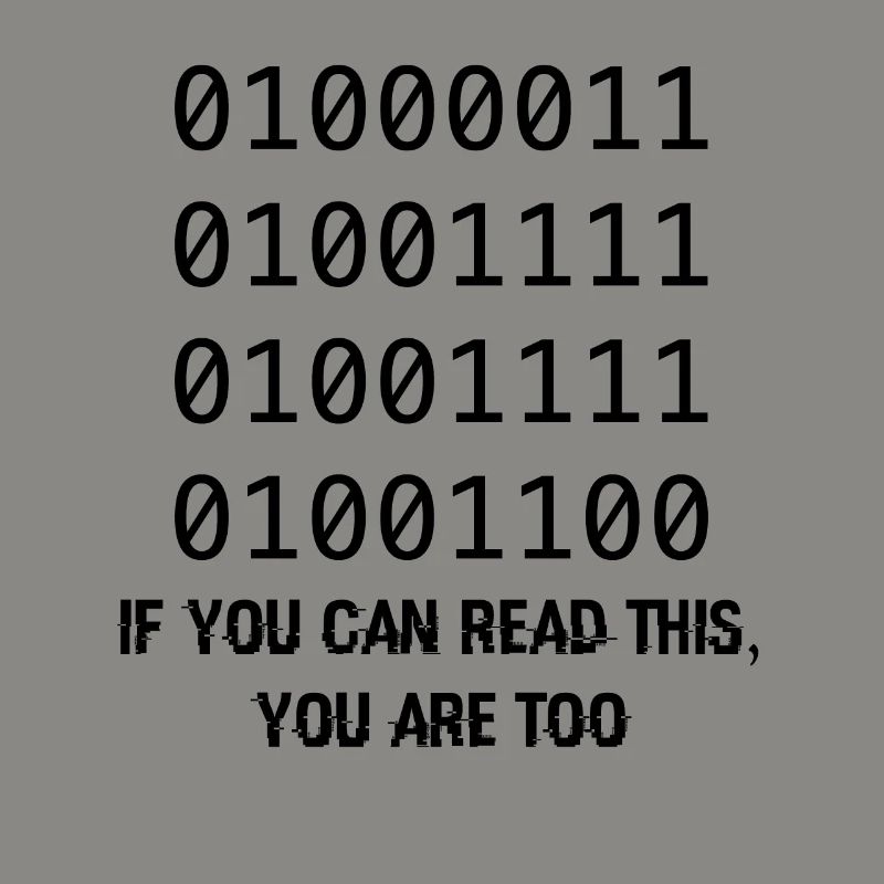 Computer Binary Code Developers Gift