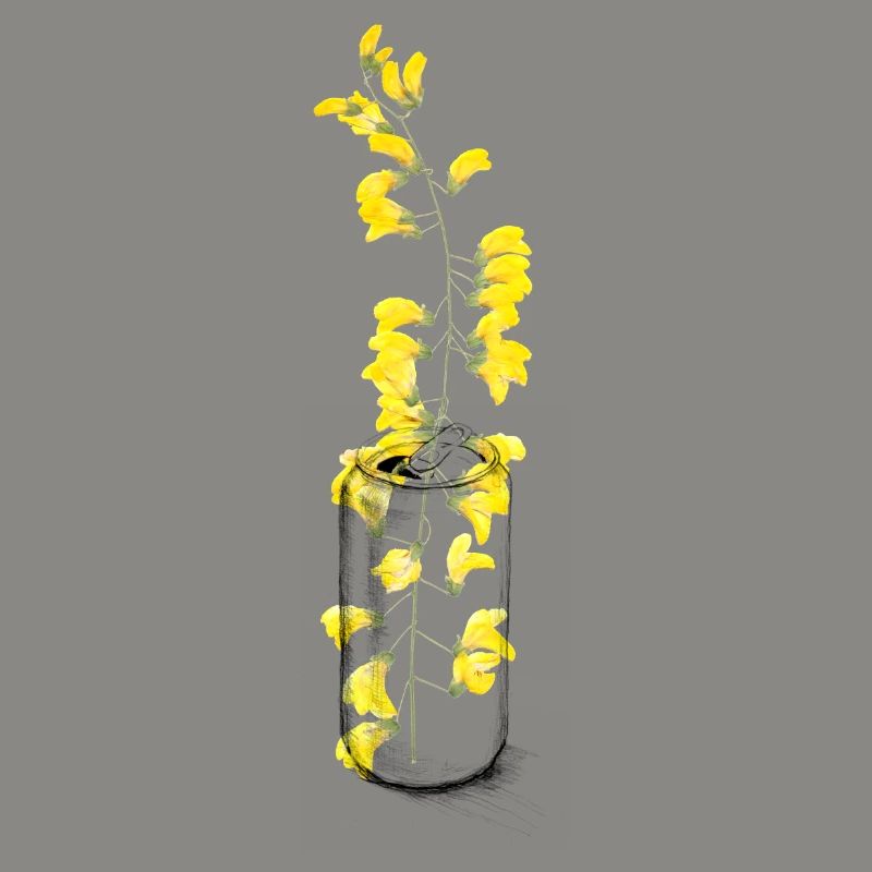 Eine Dose Blumen