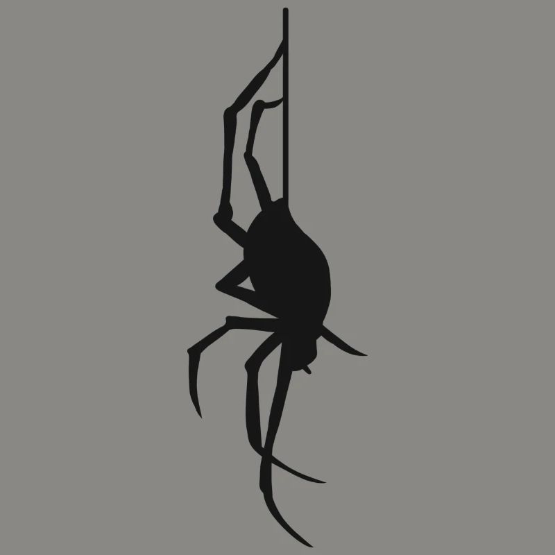Halloween Geschenk Spinne Spinnennetz Spinnen