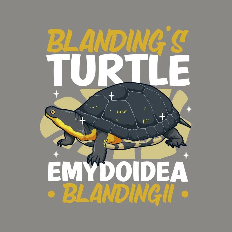 Terrapin