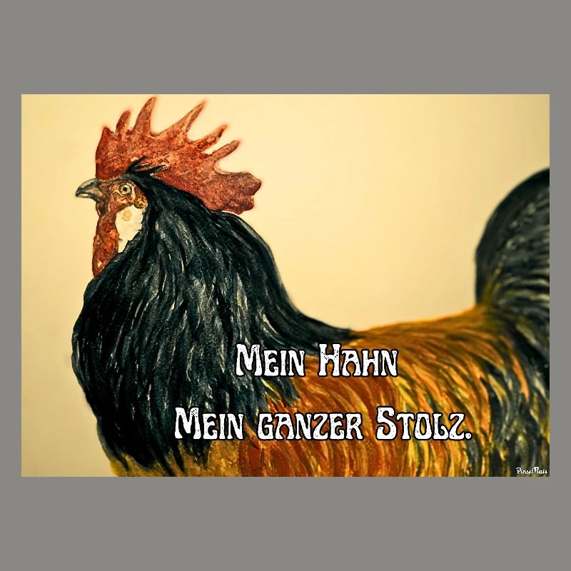 Stolzer Hahn 🐓
