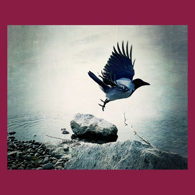 Crow's Flight