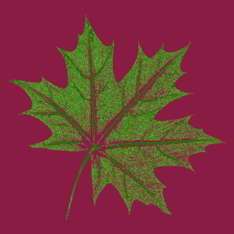 Leaf Maple / Maple Leaf