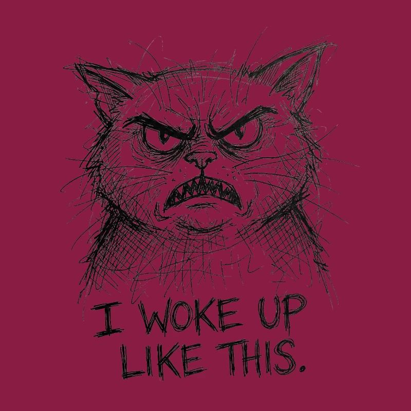 Furious Cat Scribble