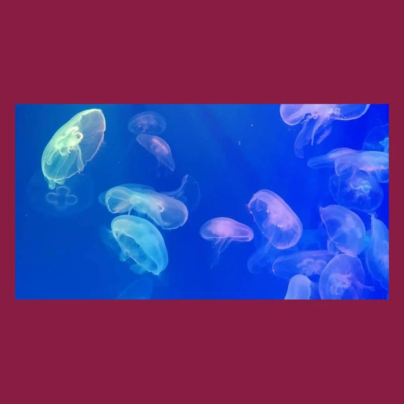 Blue jellyfish pattern
