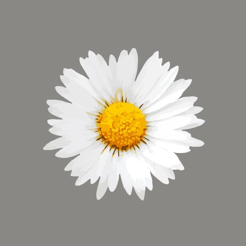 Gänseblümchen