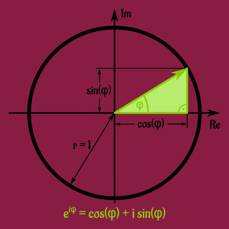 Euler's formula in the unit circle