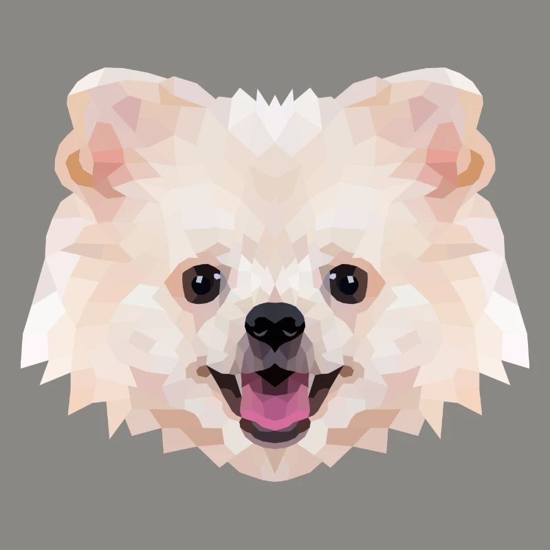 Polyart Dwarf Spitz