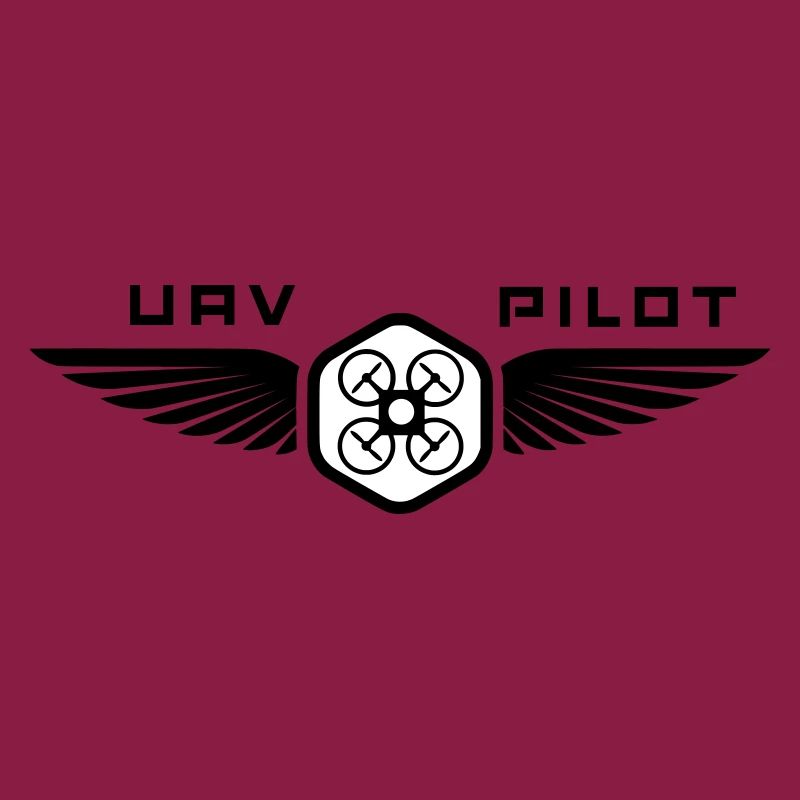 UAV PILOT1
