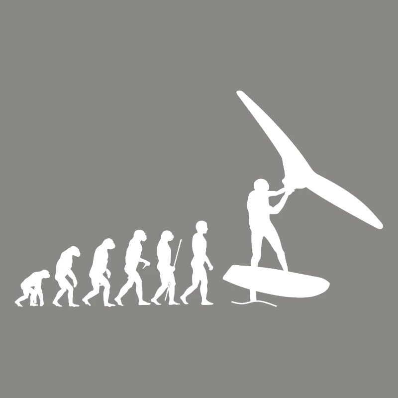 Wingfoil evolution