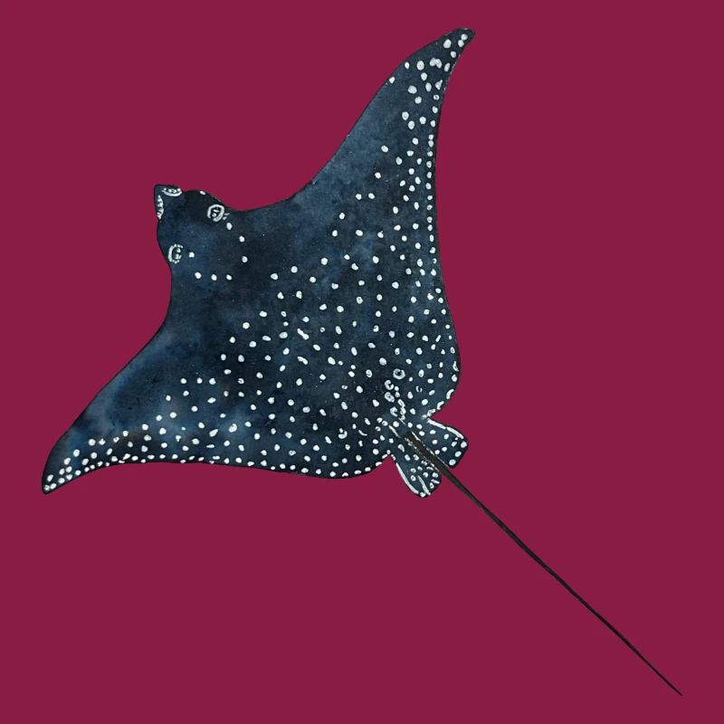 Rays Eagle Rays Stingrays Reef Diving