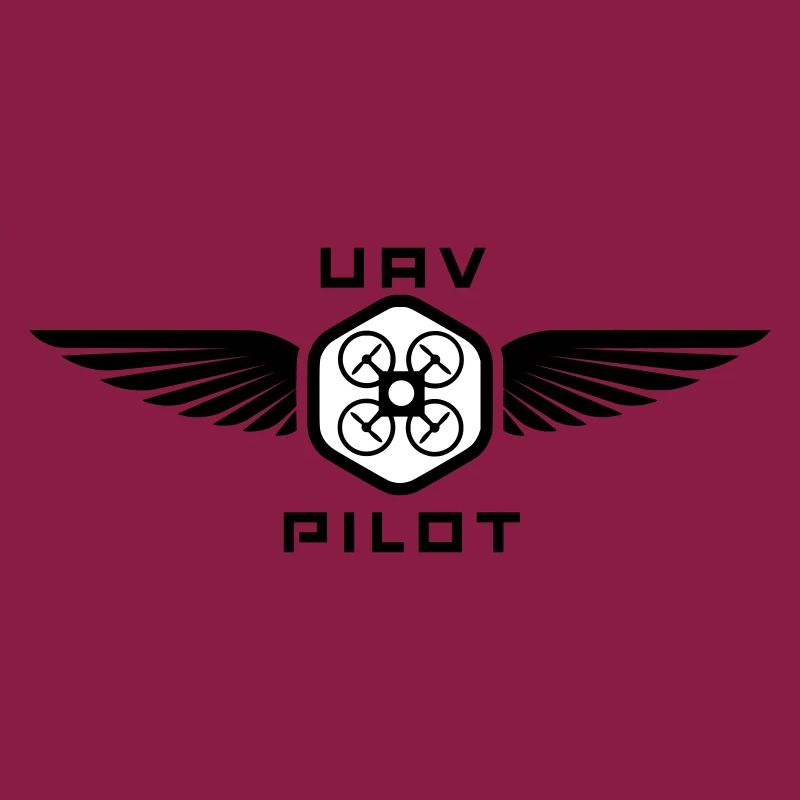 UAV PILOT2
