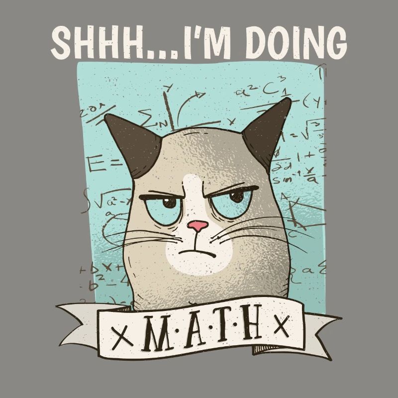 Shhh... I ́m doing Math Cat