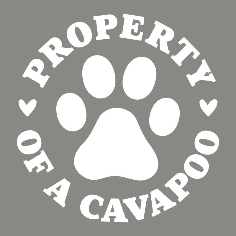 Eigentum eines Cavapoo