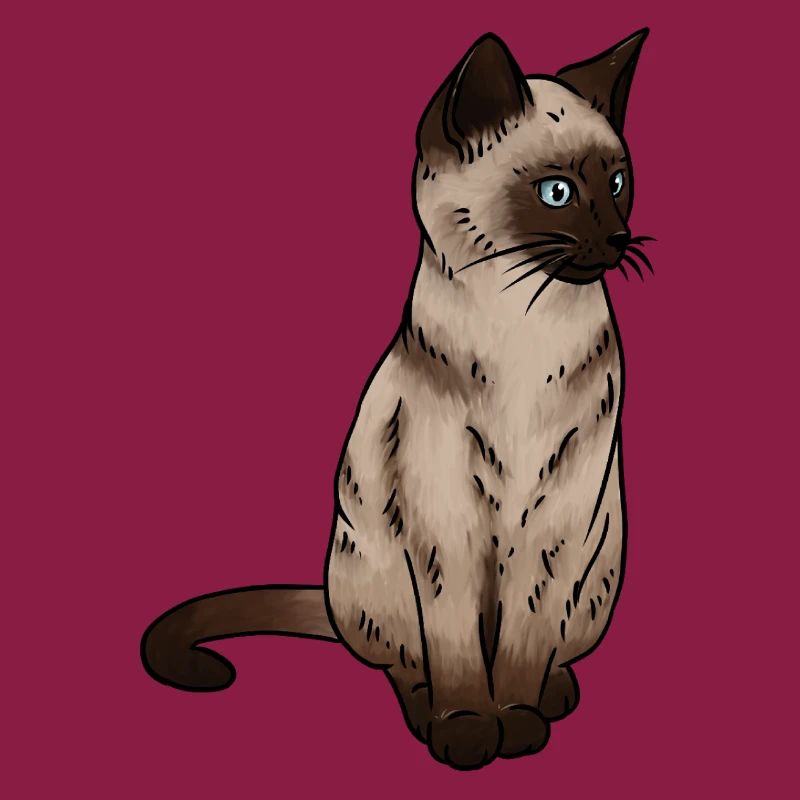 SiamEse Cat Siamese Cat