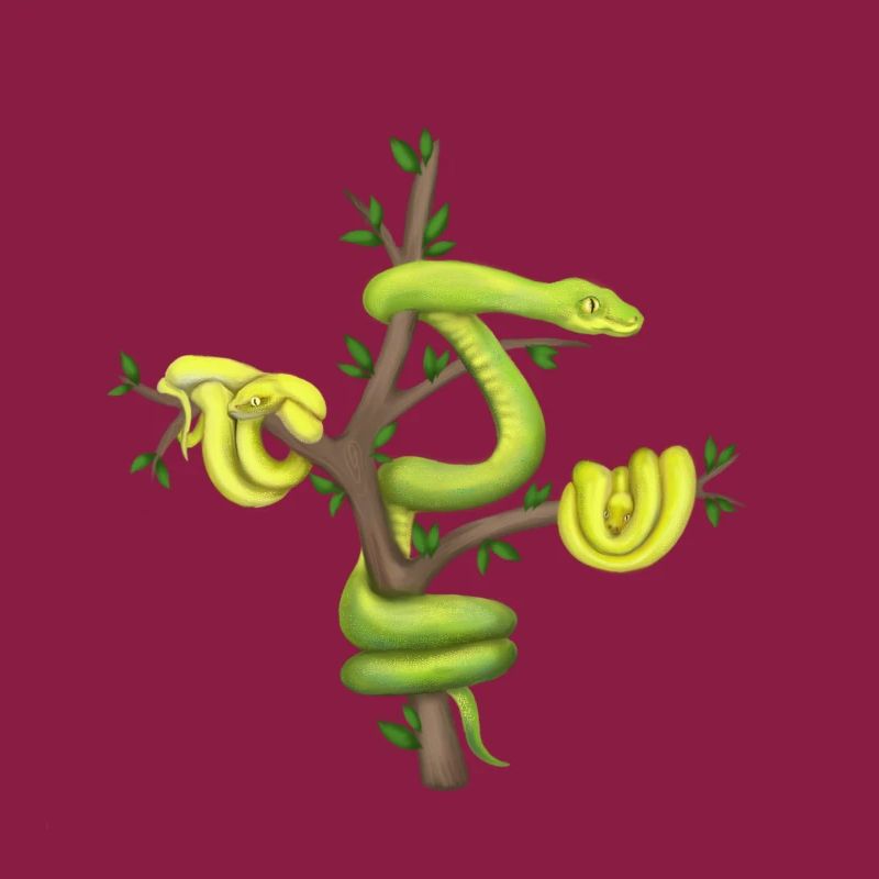 The Green Python - Tree Python