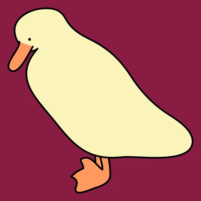 duck 5