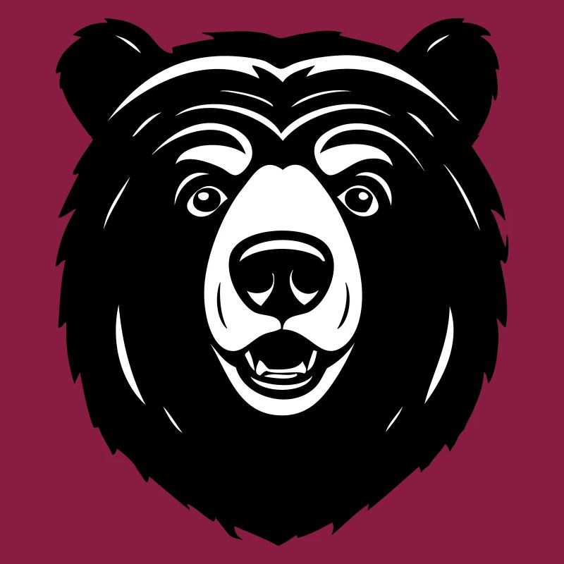 Lovely Curious Comic Bear