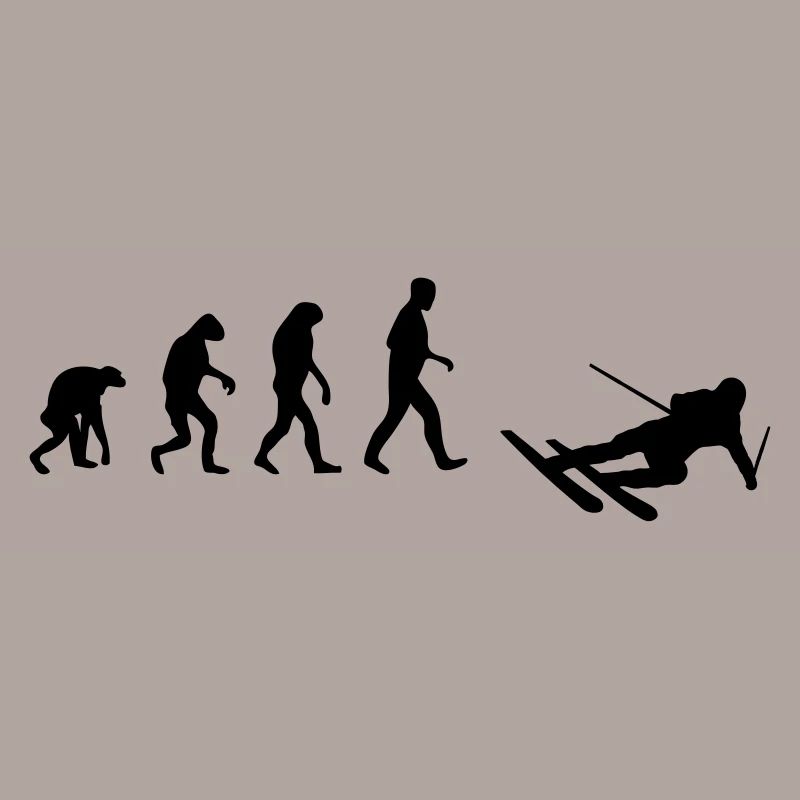 ski evolution