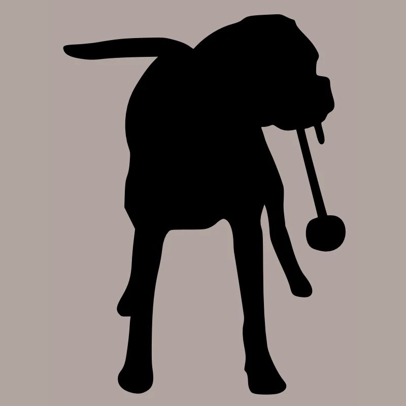 Boxer_cb