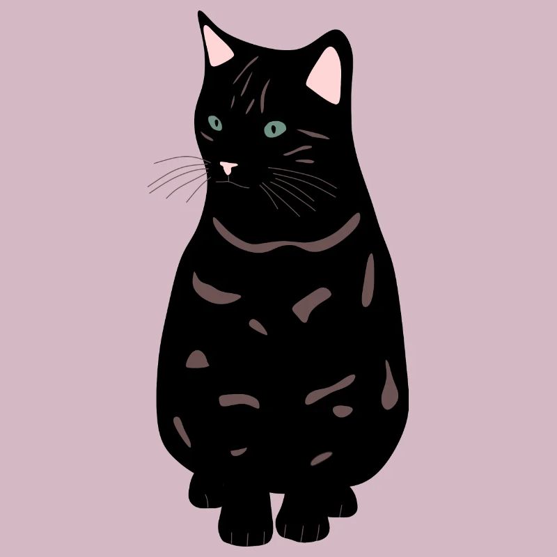 schwarze Katze