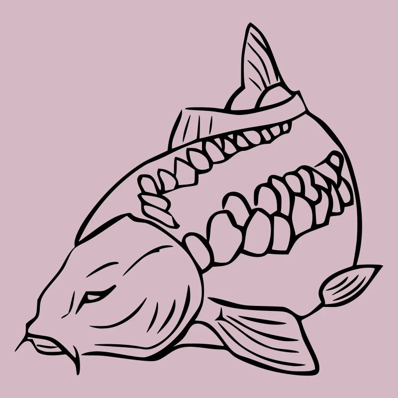 carp3